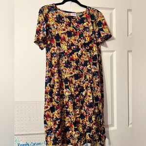 Lularoe Carly Swing Dress